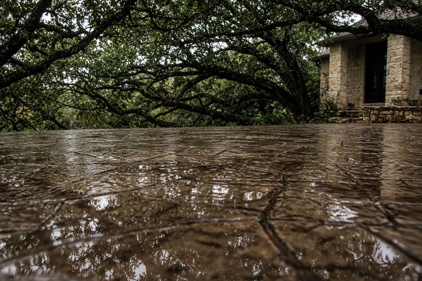 Wet-look sealed decorative concrete reflecting trees and house